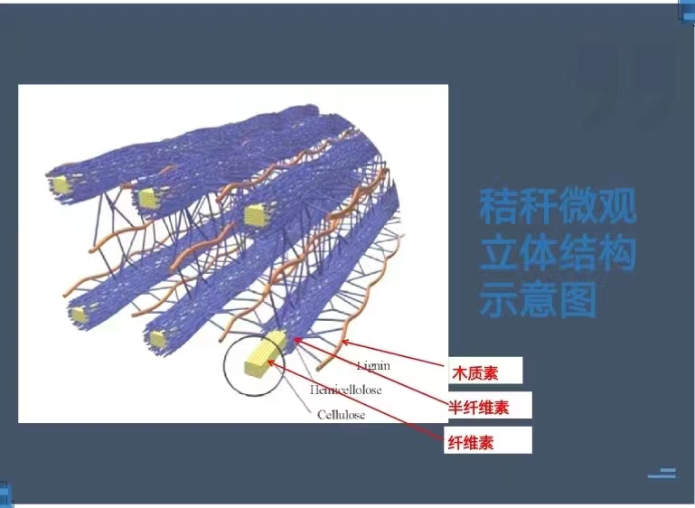 秸稈沼氣技術(shù)1.png