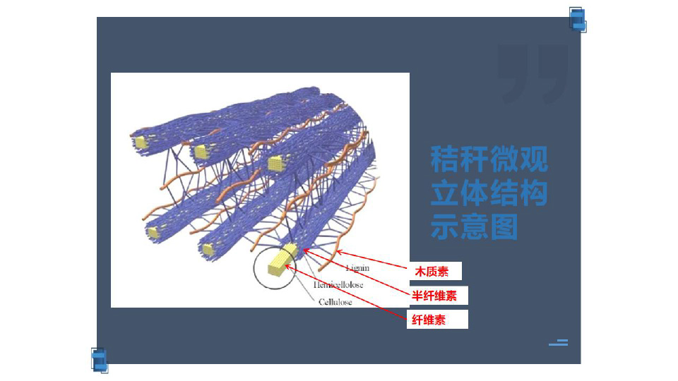 節-23.jpg